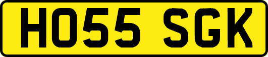 HO55SGK