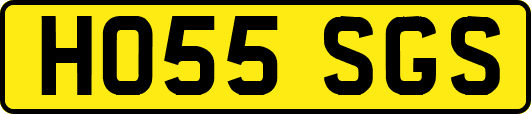 HO55SGS