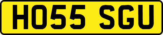 HO55SGU
