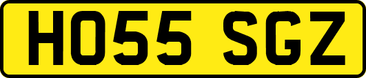 HO55SGZ