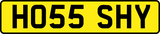 HO55SHY