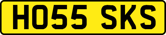 HO55SKS