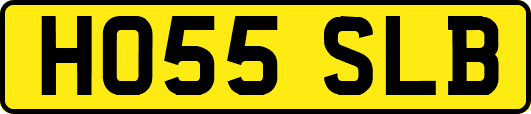 HO55SLB