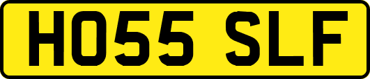 HO55SLF