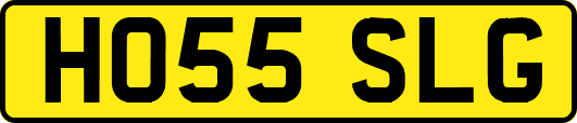 HO55SLG