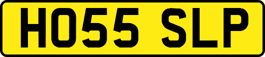 HO55SLP