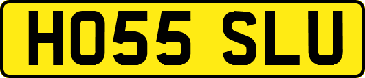 HO55SLU