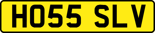 HO55SLV
