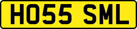 HO55SML