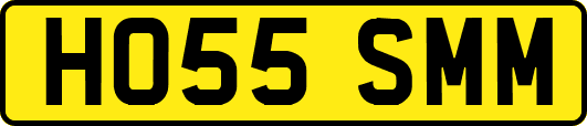 HO55SMM