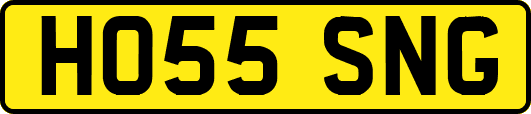 HO55SNG
