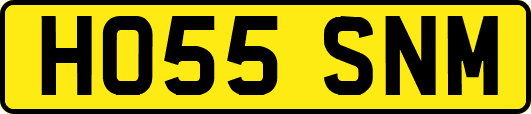 HO55SNM