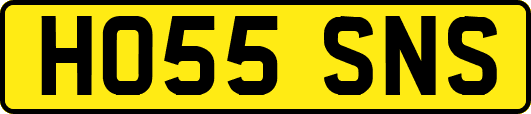 HO55SNS