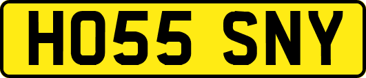 HO55SNY