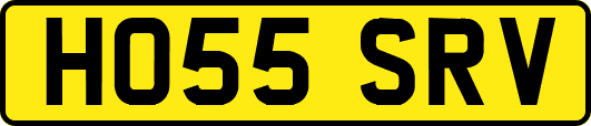 HO55SRV