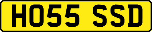 HO55SSD