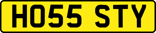 HO55STY
