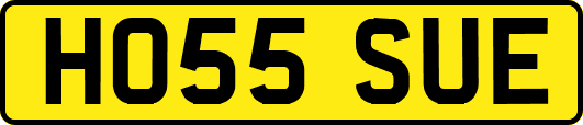 HO55SUE