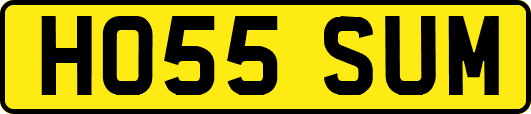 HO55SUM