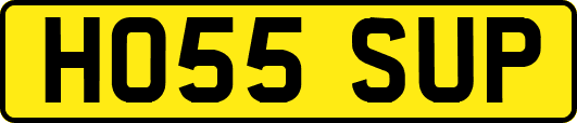 HO55SUP