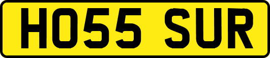HO55SUR