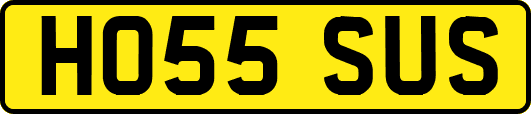 HO55SUS
