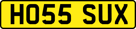 HO55SUX