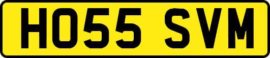 HO55SVM