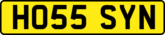 HO55SYN