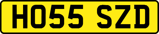 HO55SZD