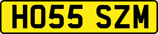 HO55SZM