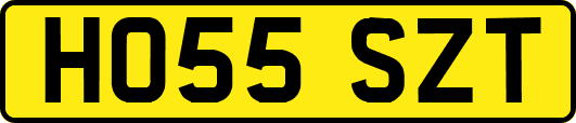 HO55SZT