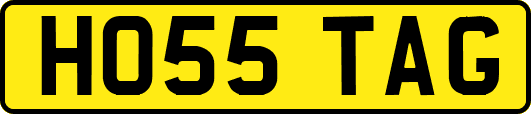 HO55TAG