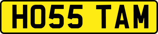 HO55TAM
