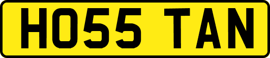 HO55TAN