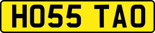 HO55TAO