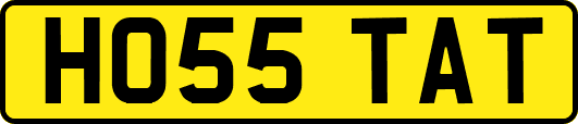 HO55TAT