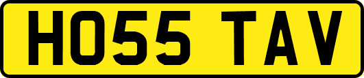 HO55TAV