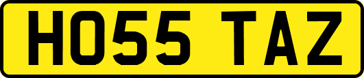 HO55TAZ