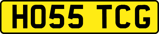HO55TCG