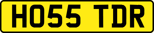 HO55TDR