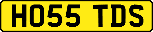 HO55TDS
