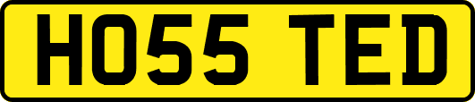 HO55TED