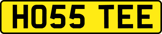 HO55TEE