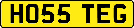HO55TEG