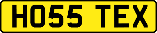 HO55TEX