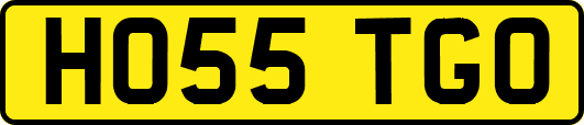 HO55TGO