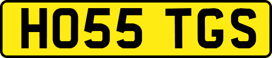 HO55TGS