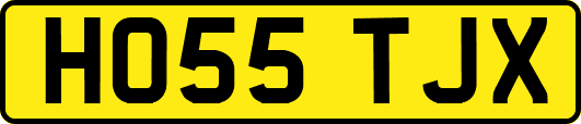 HO55TJX