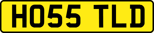 HO55TLD